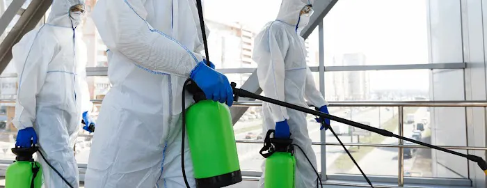 Phoenix Mold Removal Picture 8