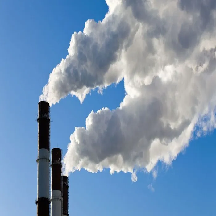 Urgent Water Damage Restoration Clayton NC Picture 9