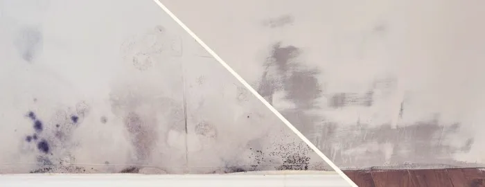 Dry Cleanup - Mold Removal & Remediation Brownsville TX Picture 6