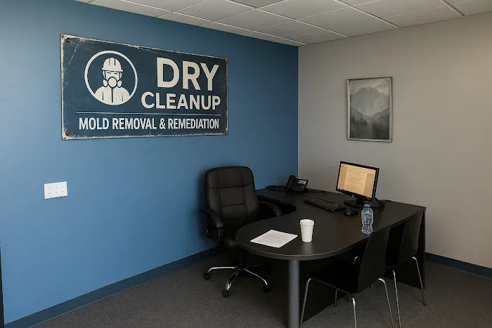 Dry Cleanup - Mold Removal & Remediation Brownsville TX Picture 1