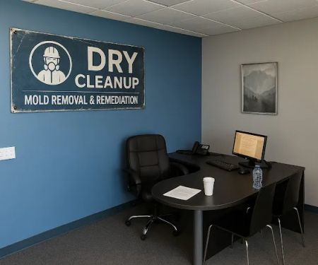 Dry Cleanup - Mold Removal & Remediation Brownsville TX