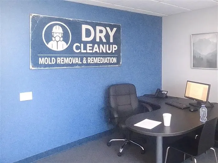 Dry Cleanup - Mold Removal & Remediation Brownsville TX Picture 3