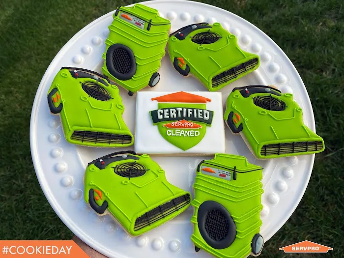 SERVPRO of Harlingen/San Benito Picture 5