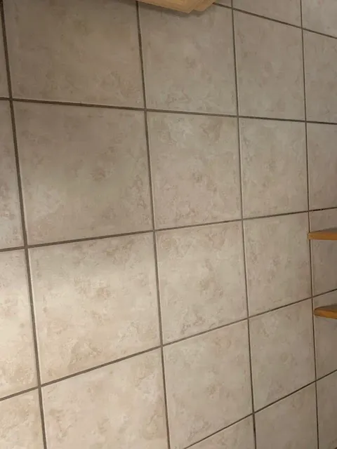 Stanley Steemer Picture 2