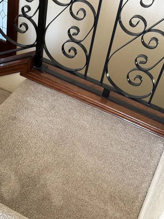 Stanley Steemer Picture 6