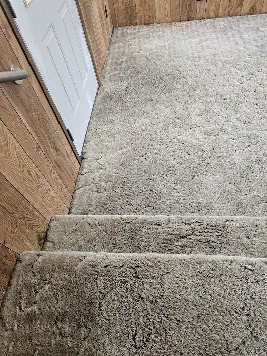 Stanley Steemer Picture 5