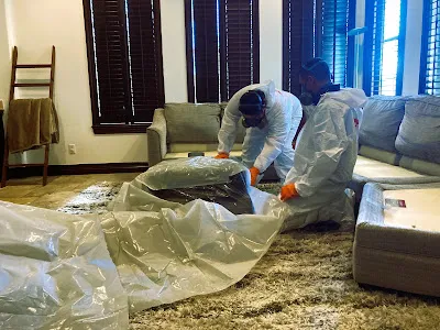 Pentogan Mold Removal & Remediation Picture 1