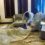 Pentogan Mold Removal & Remediation