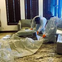 Pentogan Mold Removal & Remediation ico