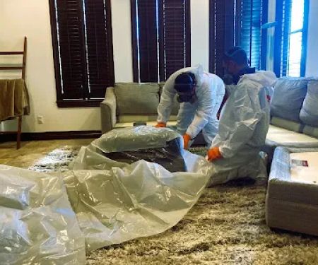 Pentogan Mold Removal & Remediation