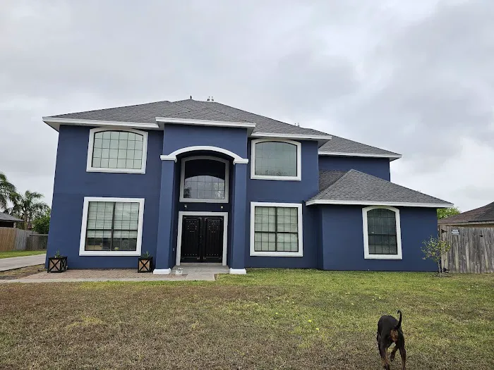 Gulf Coast Painting Picture 8