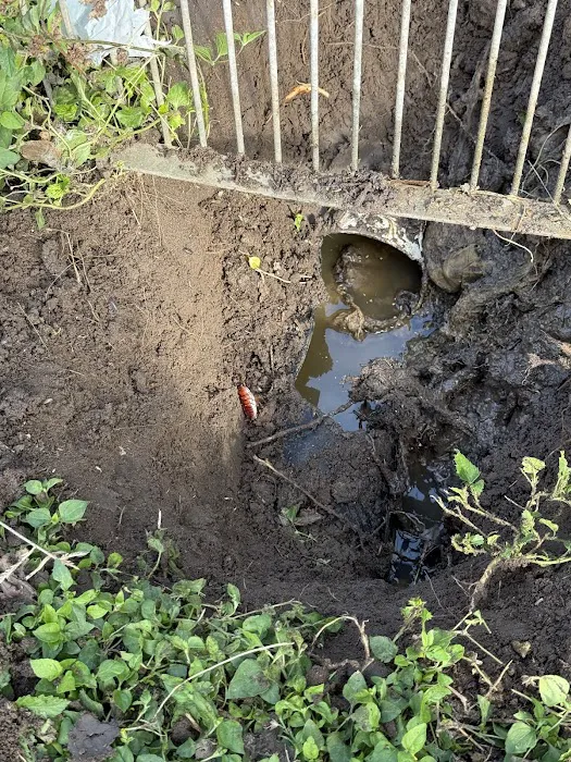 Roto-Rooter Plumbing & Drain Services - Upper RGV Picture 7