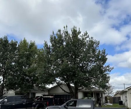 Above Quality Roofing