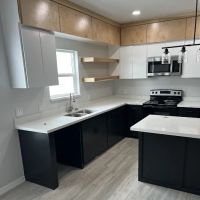 Brambila painting LLC ico