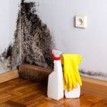 Prospect Heights Mold Remediation