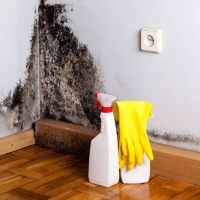 Prospect Heights Mold Remediation ico