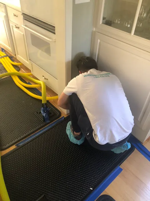 AAA Water Restoration Inc Picture 1