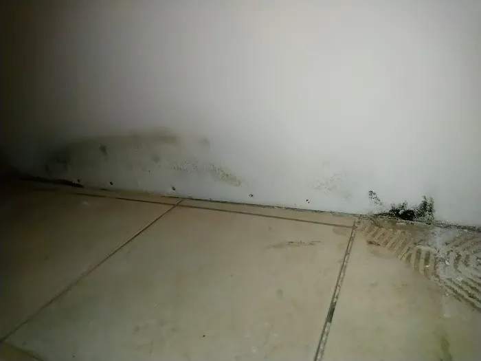 ProRestore Services Picture 6