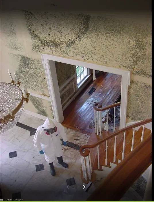 ProRestore Services Picture 9