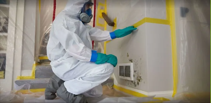 ProRestore Services Picture 1