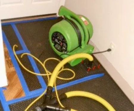 Superior Mold & Water Extraction