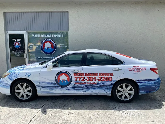 Wet Out Restoration Picture 4