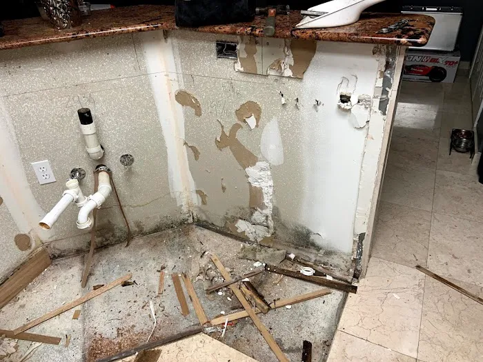 Wet Out Restoration Picture 2