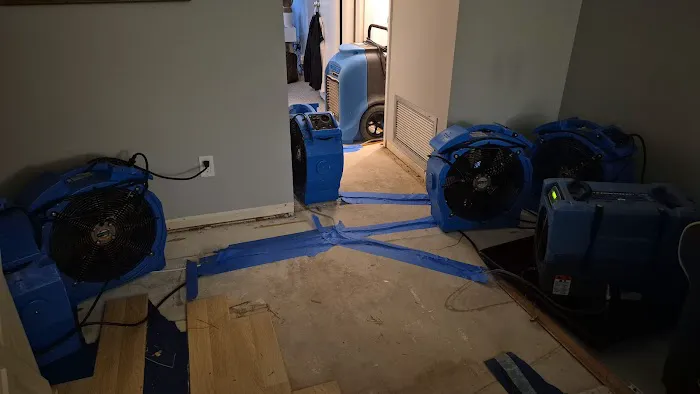 Wet Out Restoration Picture 1