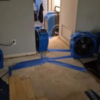 Wet Out Restoration ico