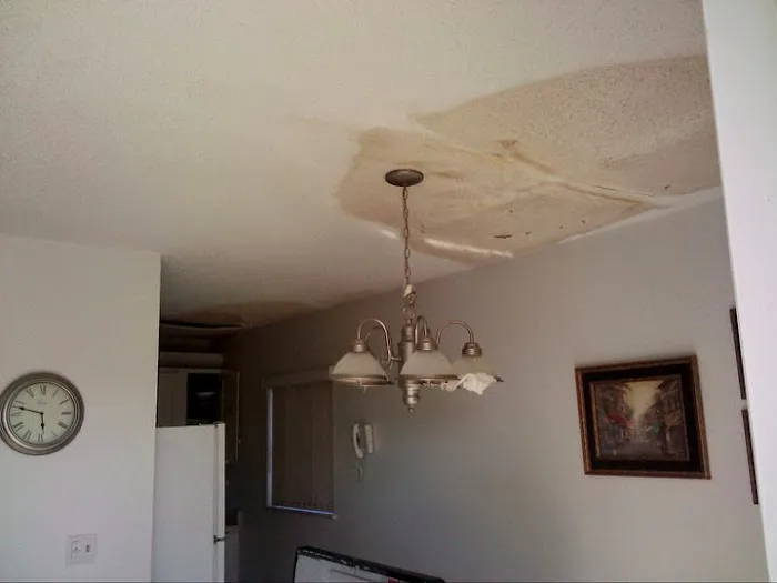 America Inc. Picture 3