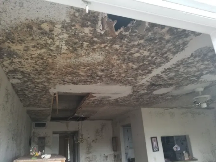 America Inc. Picture 8