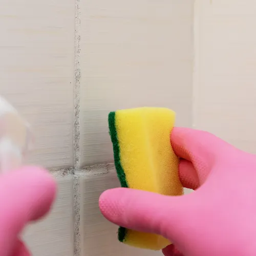 Facterel Mold Testing Picture 5