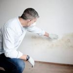 Facterel Mold Testing