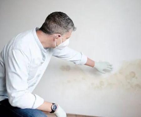 Facterel Mold Testing