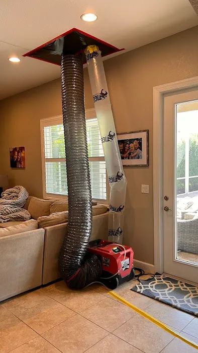 City Masters Picture 3