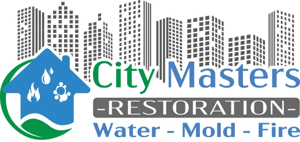 City Masters Picture 4