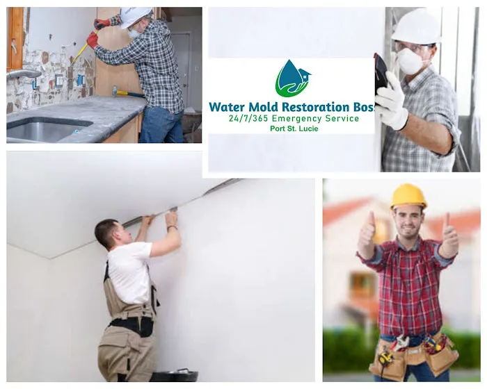 Mold Boss of Port St Lucie Picture 4