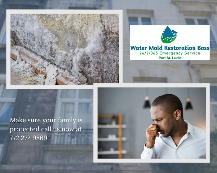 Mold Boss of Port St Lucie Picture 9