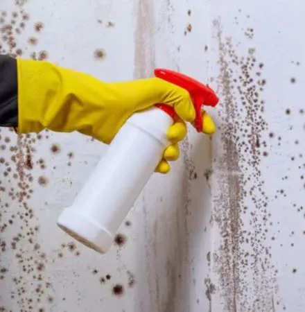 Water Done Rite Picture 1