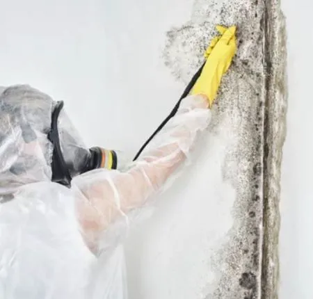 Water Done Rite Picture 3