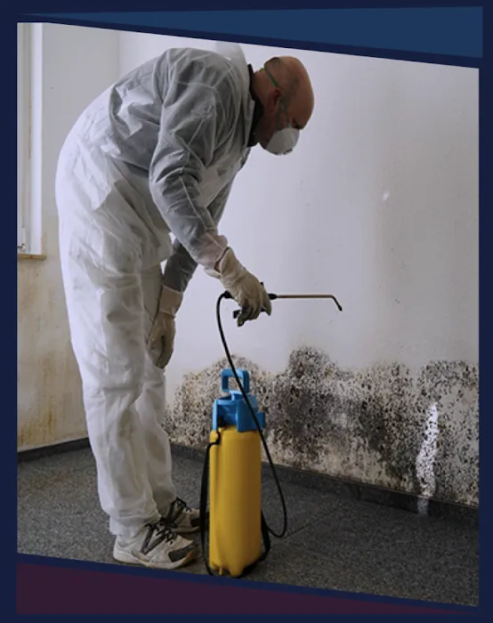 Mold Remediation Specialists Picture 3