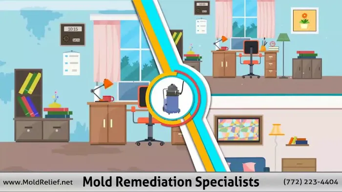 Mold Remediation Specialists Picture 1