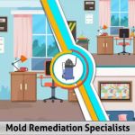 Mold Remediation Specialists
