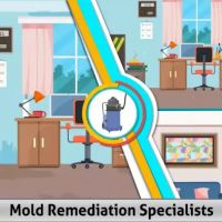 Mold Remediation Specialists ico