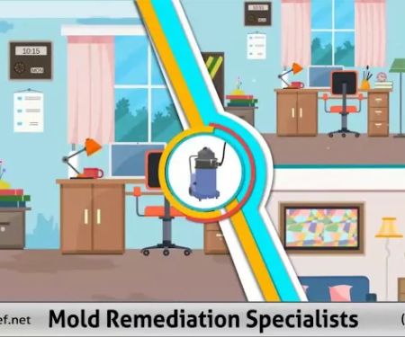 Mold Remediation Specialists