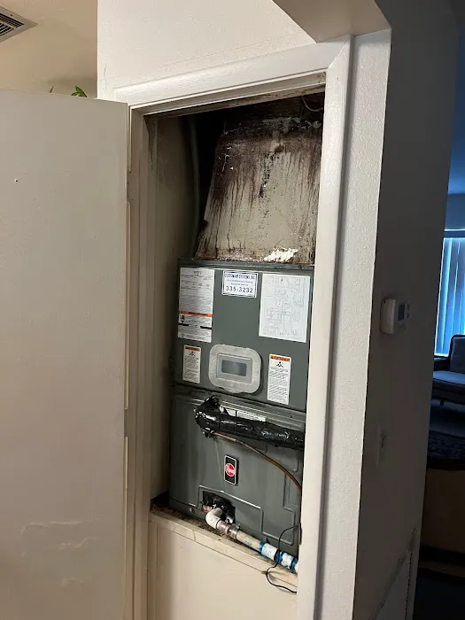 Mold Remediation Specialists Picture 6