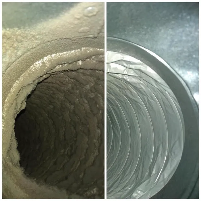 GMEK Restoration Picture 7