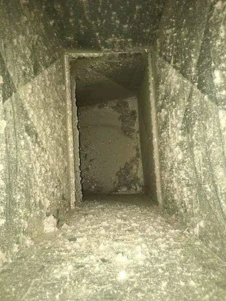 GMEK Restoration Picture 9