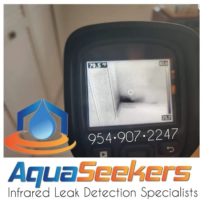 AquaSeekers LLC Water Damage Mold Removal Leak Detection Mold Testing & Fire Damage Picture 4