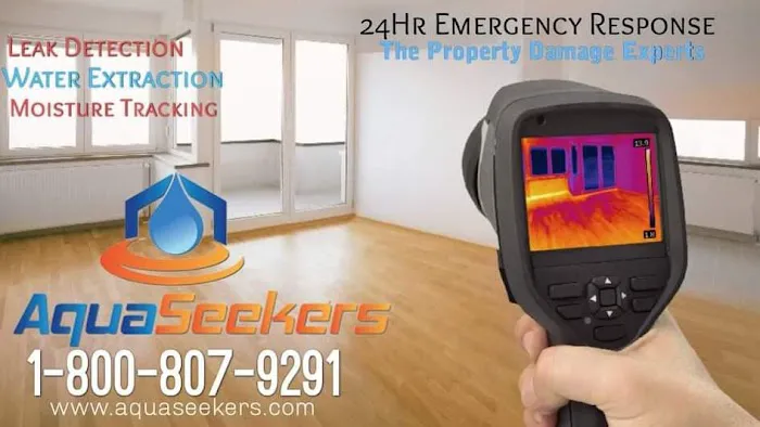 AquaSeekers LLC Water Damage Mold Removal Leak Detection Mold Testing & Fire Damage Picture 1